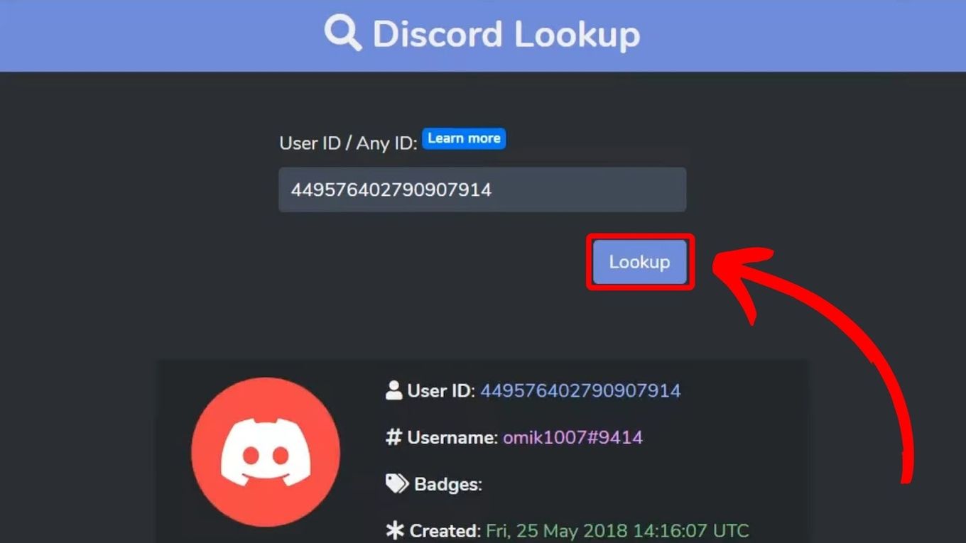 Hit the Lookup Option to Find Discord User