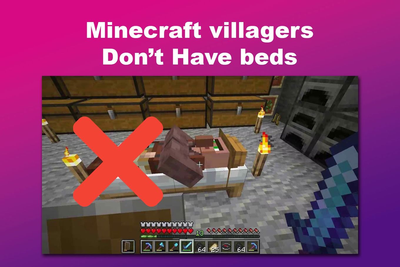 Minecraft villagers Don't Have beds