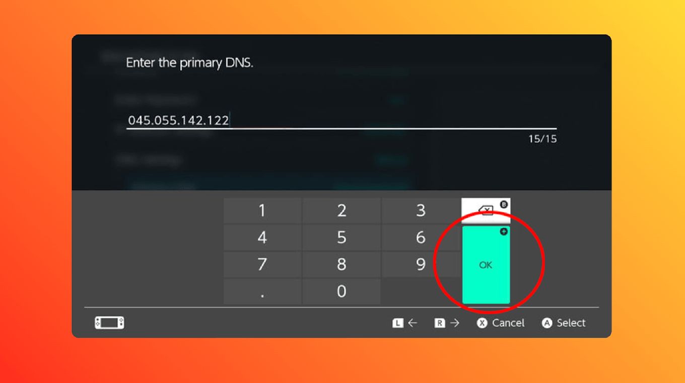 Nintendo Switch- Enter Manual DNS Settings for Web Browser