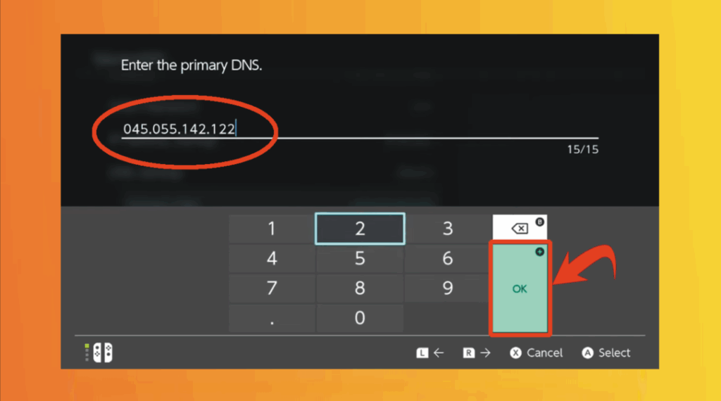 Nintendo Switch Browser - Enter New Primary DNS