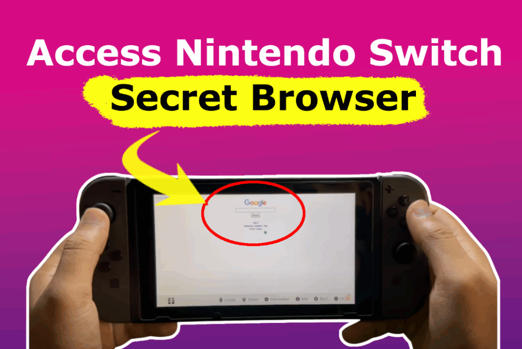 Nintendo Switch Secret Browser