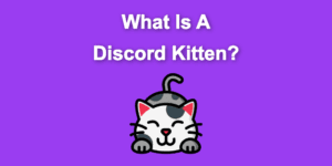 discord kittens share