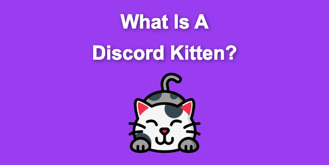 Discord Kitten Explained [What They Are & What They Do]