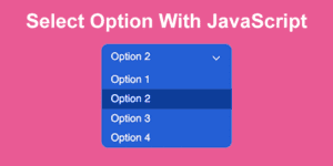 javascript select option share