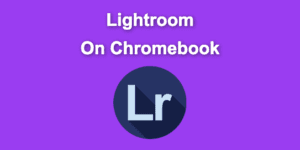 lightroom chromebook share