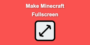 minecraft full screen share