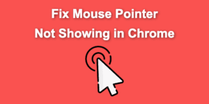 mouse pointer chrome share