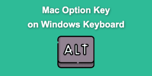 option key windows share