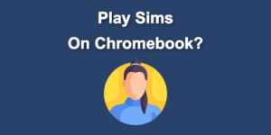 play sims chromebook share