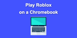 roblox chromebook share