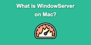 windowserver mac share