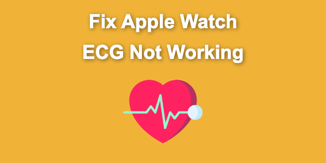 How to Fix Apple Watch ECG Not Working [Easy Way]