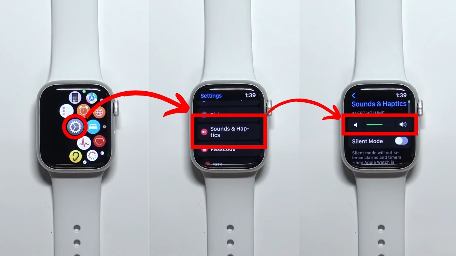 Apple Watch Alarm Alert Volume Settings
