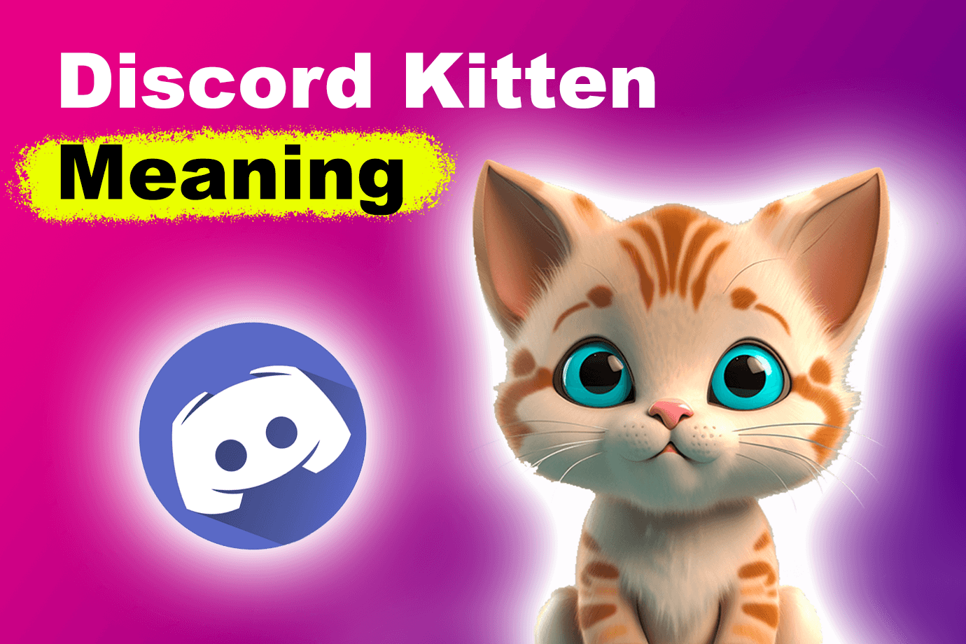 What Is a Discord Kitten? [Meaning Explained]