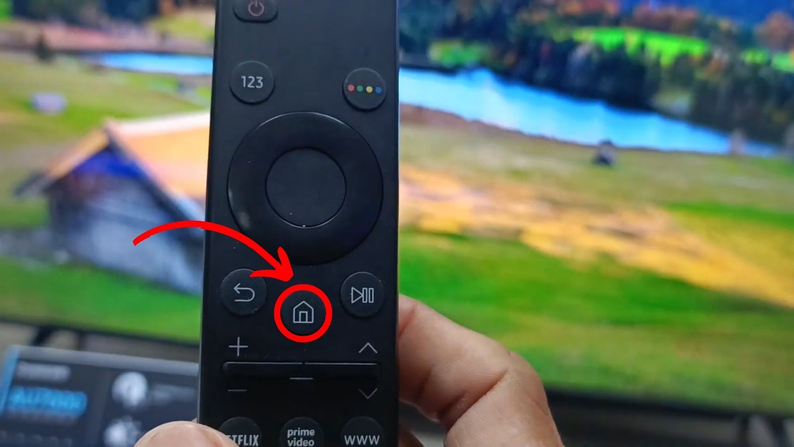 Samsung TV Remote Home Button