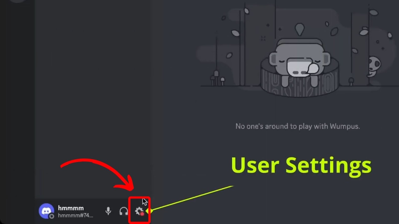 Settings - Turn Off DMS Discord Desktop