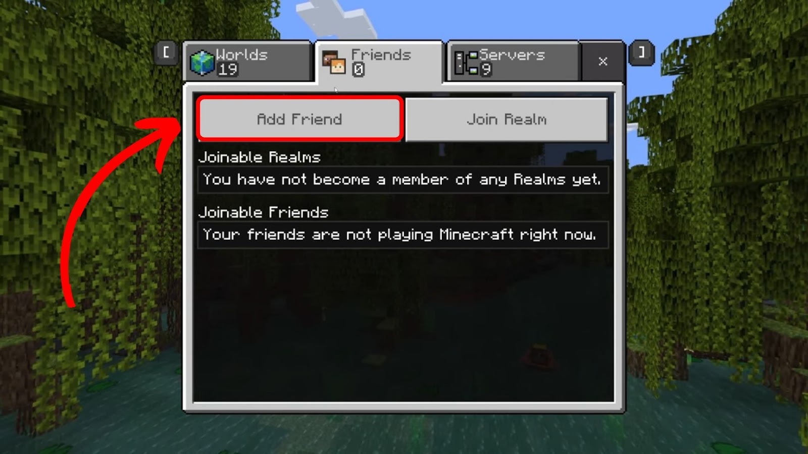 Press Add Friend To Join Minecraft World on PS4