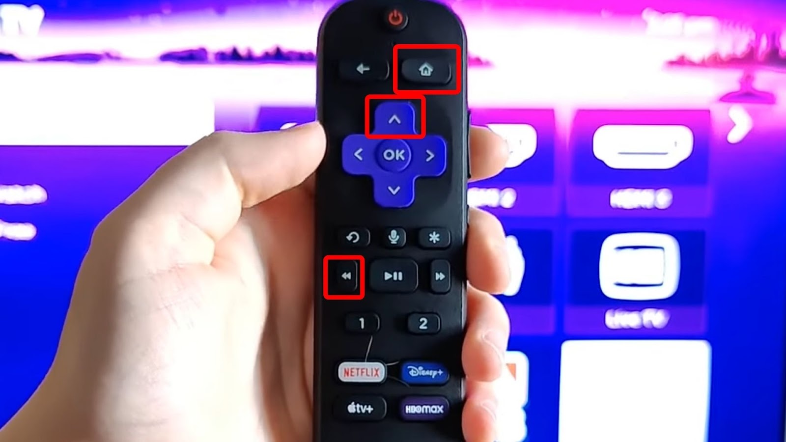 How To Reset TCL TV With Black Screen