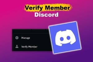 verify-member-discord