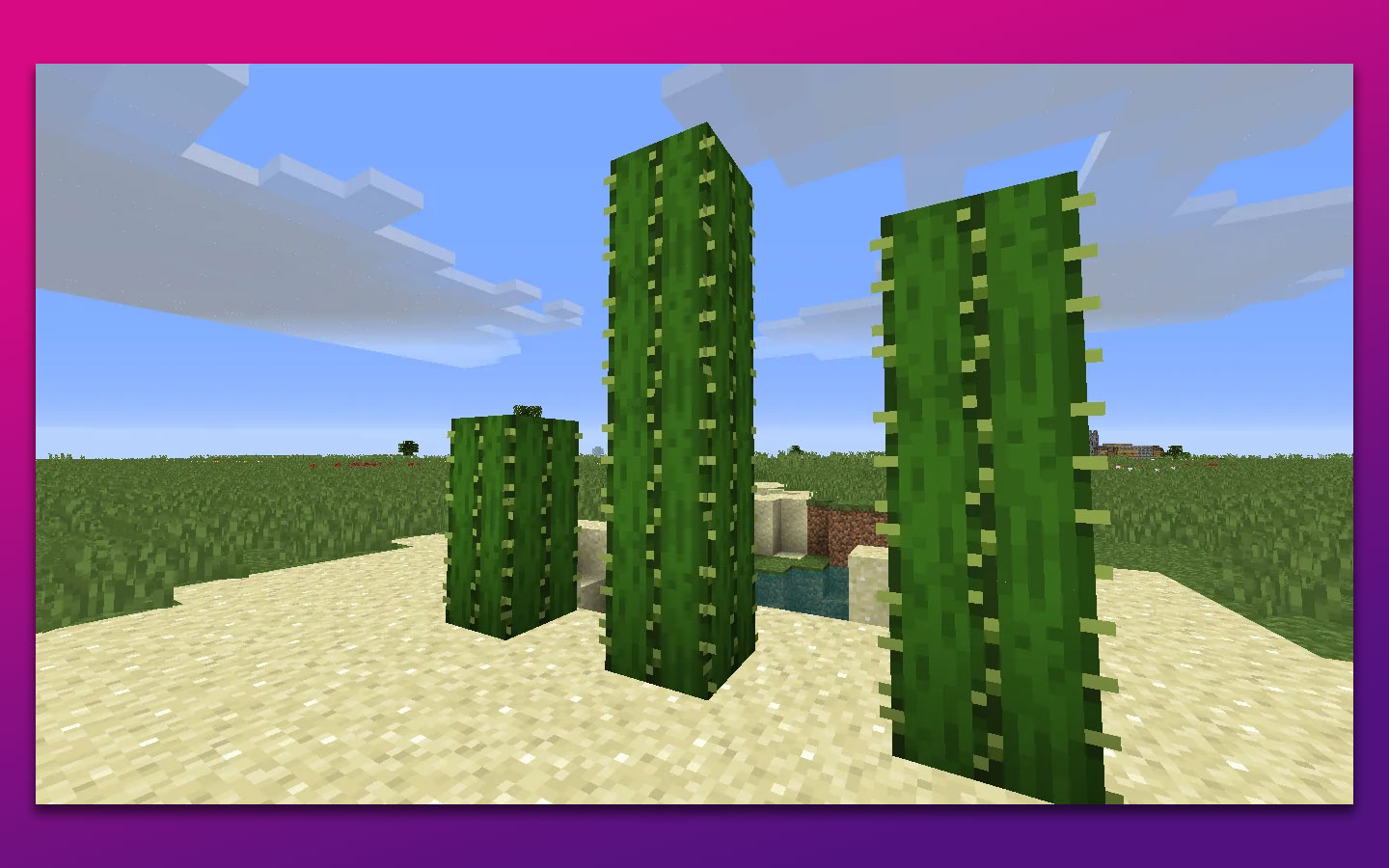 Cactus Grow Faster Minecraft Natural Generation