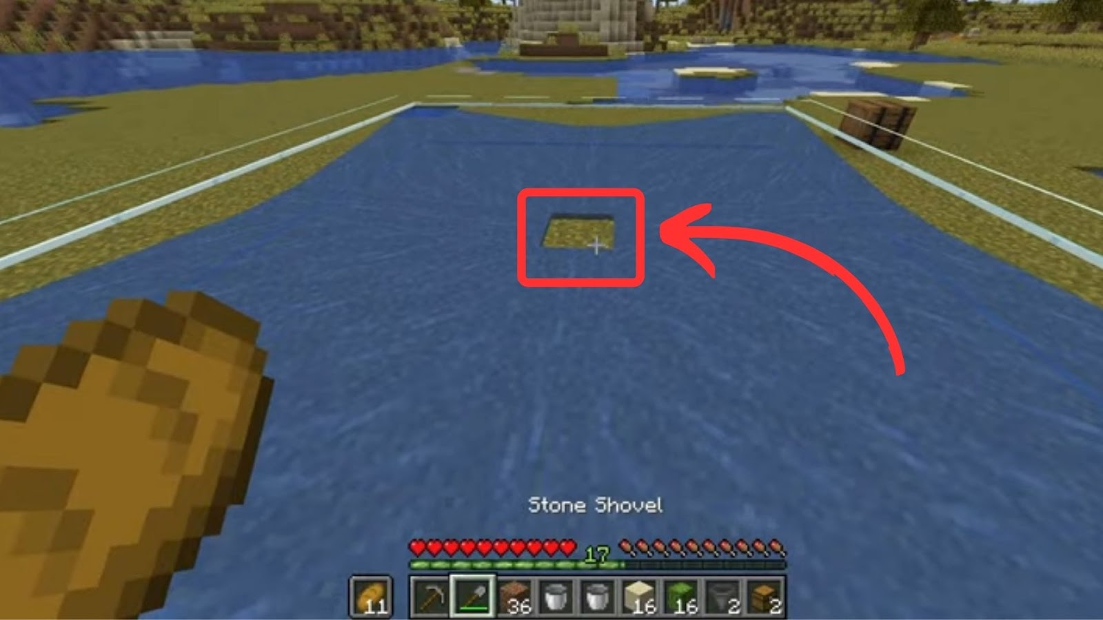 Cactus in Minecraft Put Water on Four Corners