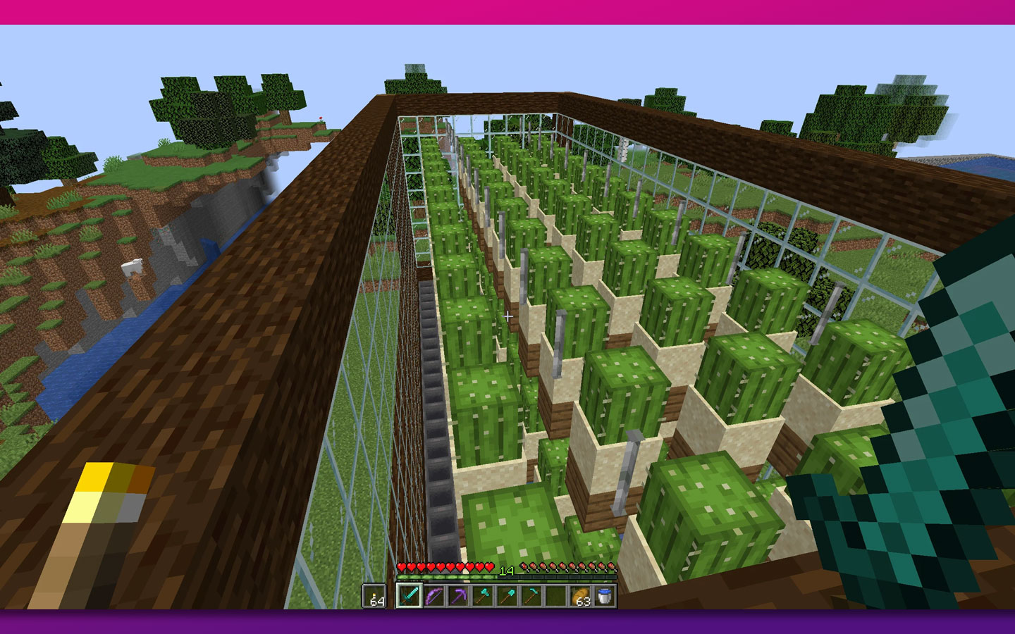 Cactus Will Not Grow in Minecraft If No Space