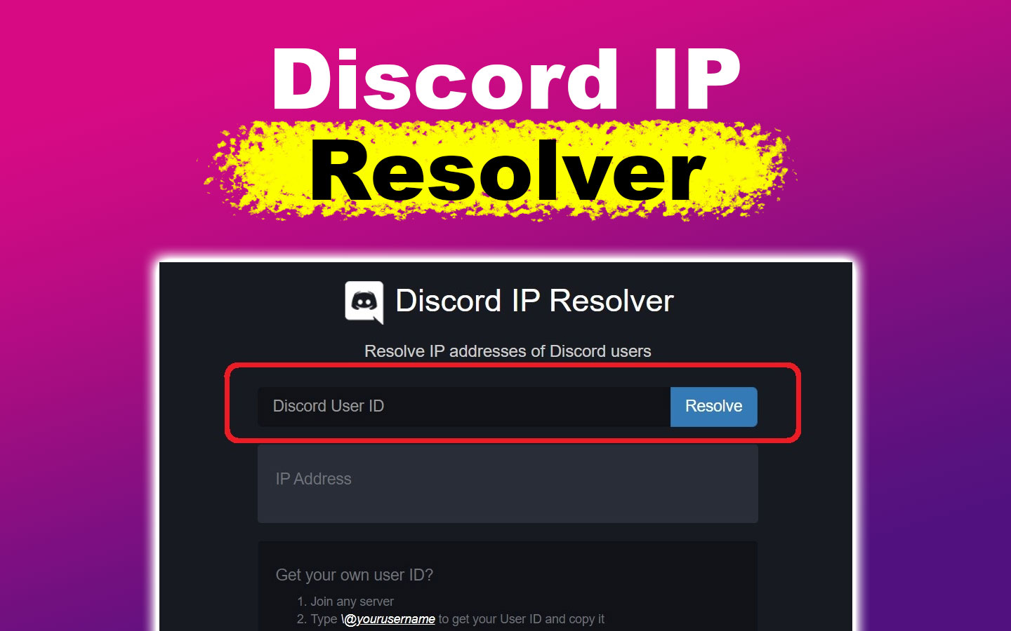 Discord IP Resolver
