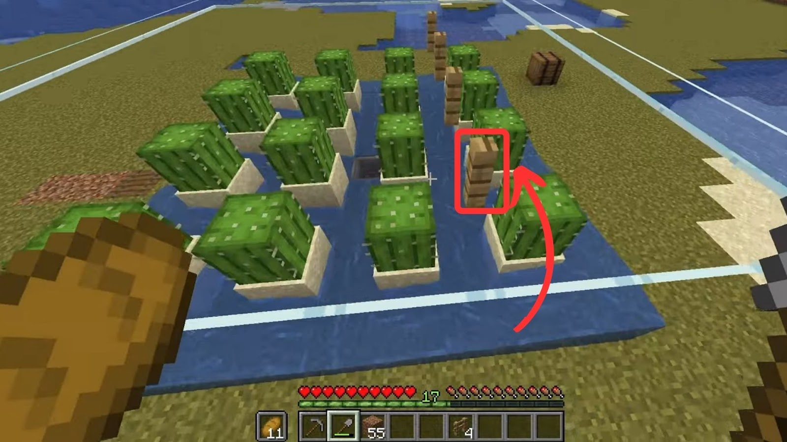 Grow Cactus in Minecraft Place Fences