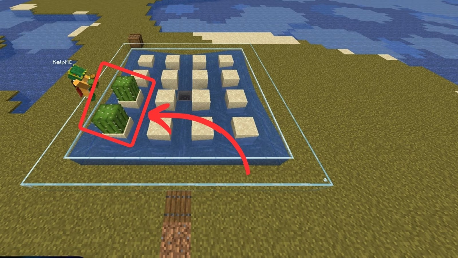 Grow Cactus in Minecraft Place Sand