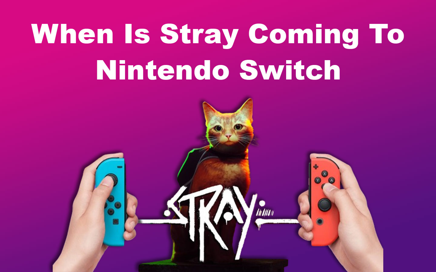 When Is Stray Coming To Nintendo Switch