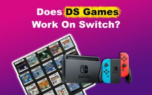 ds-games-work-switch