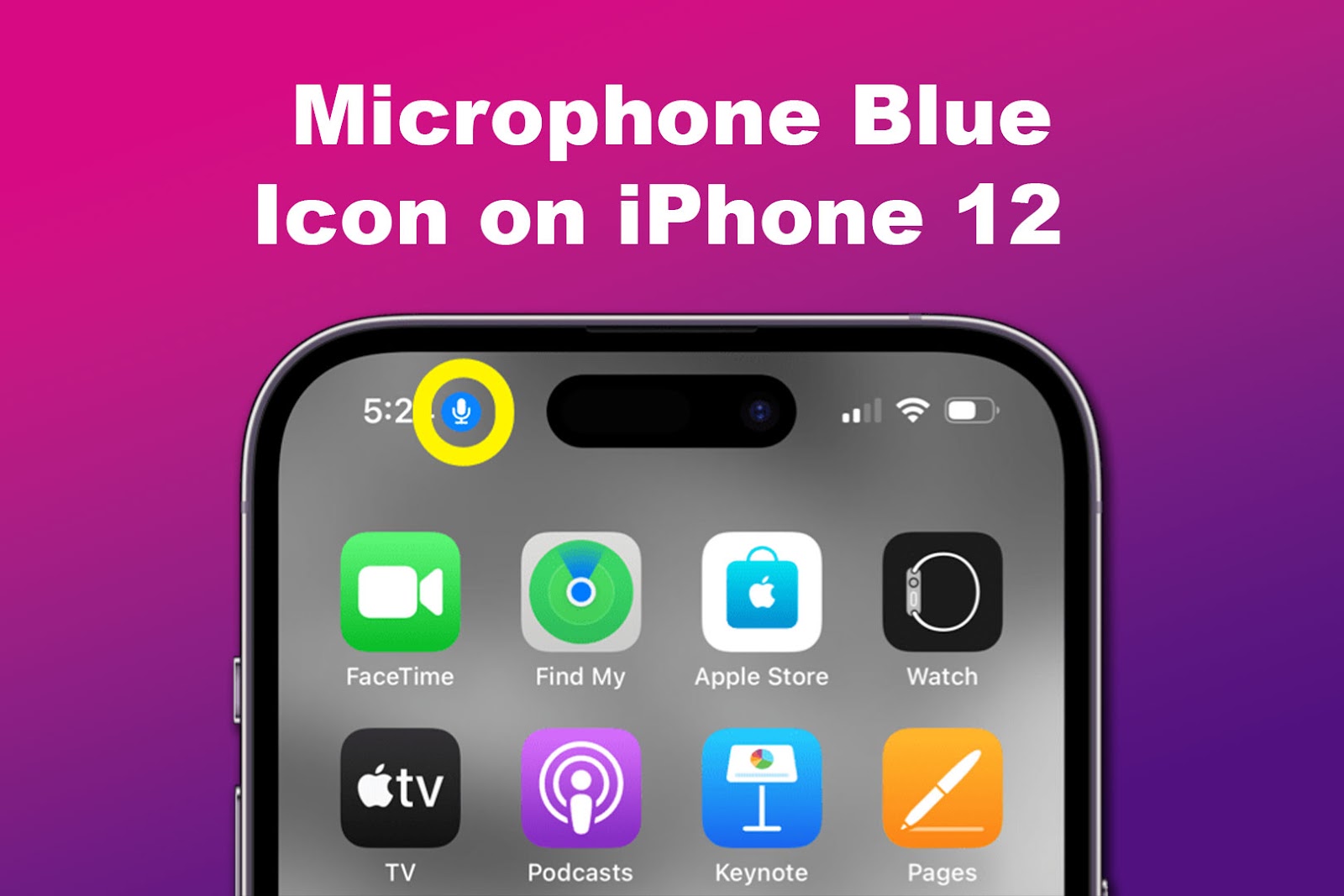 Microphone Blue Icon on iPhone 12