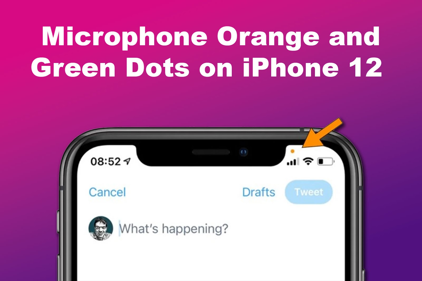 Microphone Orange and Green Dots on iPhone 12