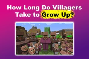 villagers-grow-up