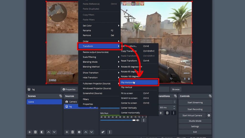 How to Flip Camera on Discord [ Easy Steps] Alvaro Trigo