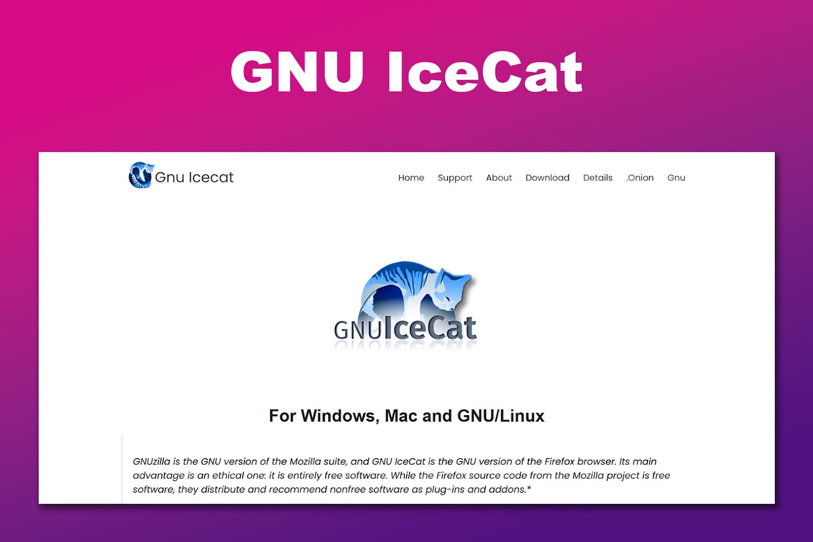 GNU IceCat Unblocked Browser