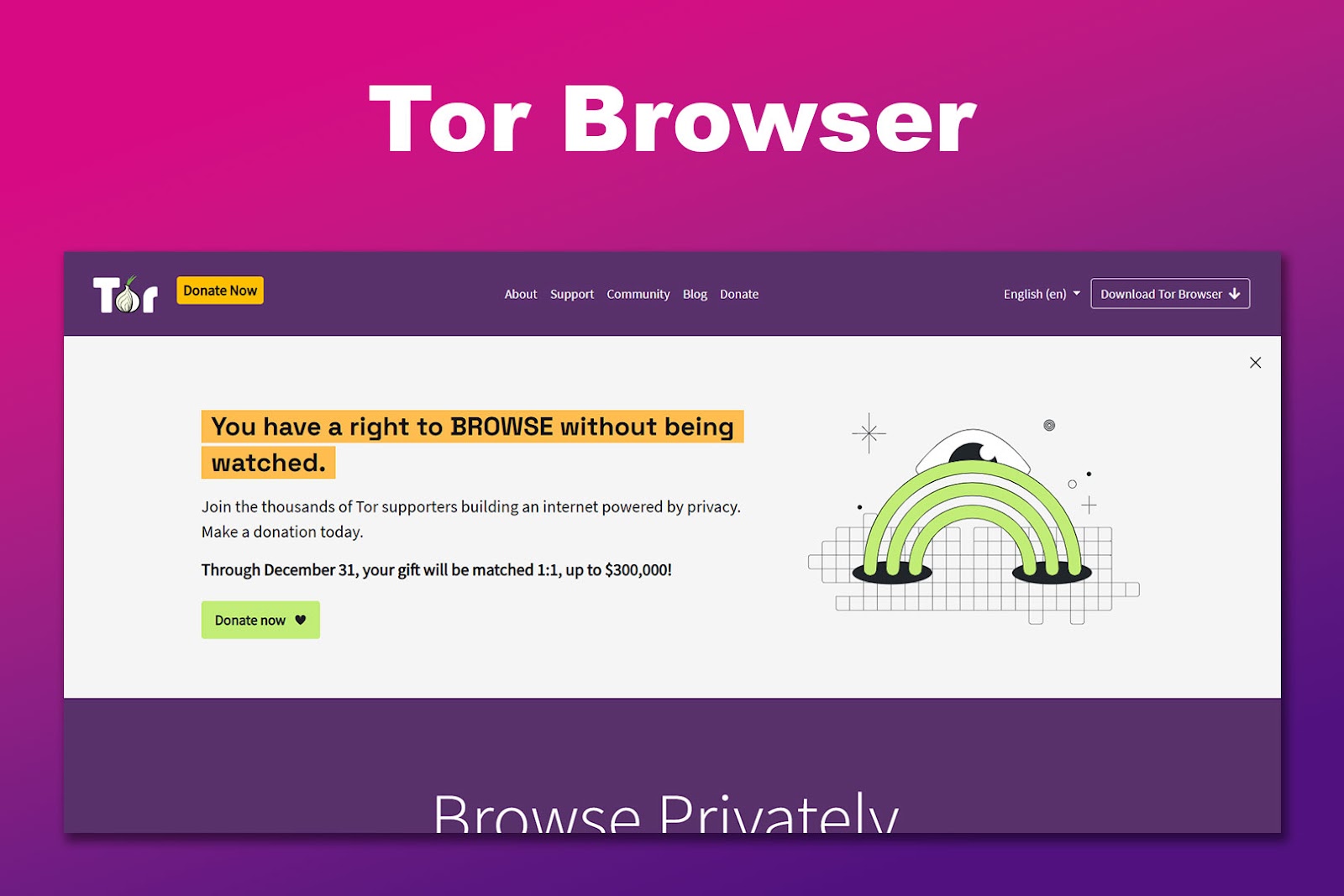 Tor Unblocked Browser