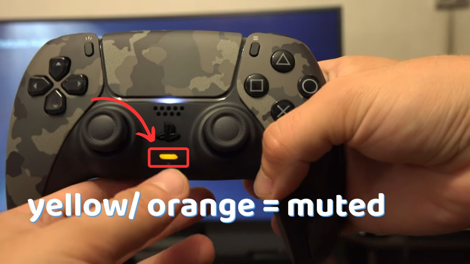 Fix PS5 Controller Mic - Muted