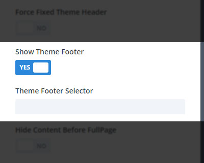 Show Theme Footer