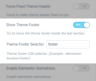 Show Theme Footer