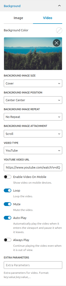 Section Background Video Options