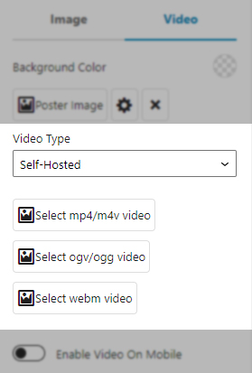 Section Self-Hosted Background Video Options