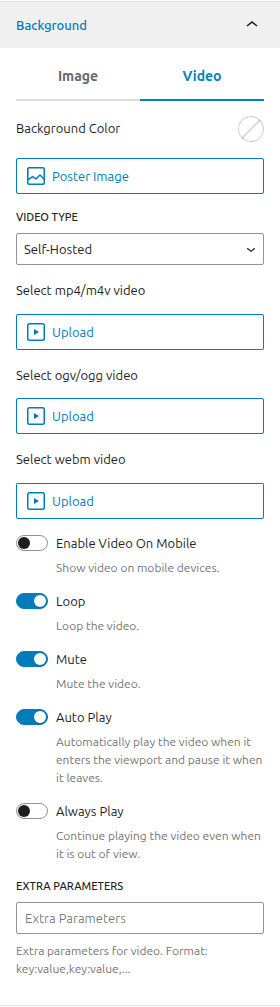 Section Self-Hosted Background Video Options